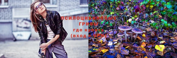 марки lsd Балахна