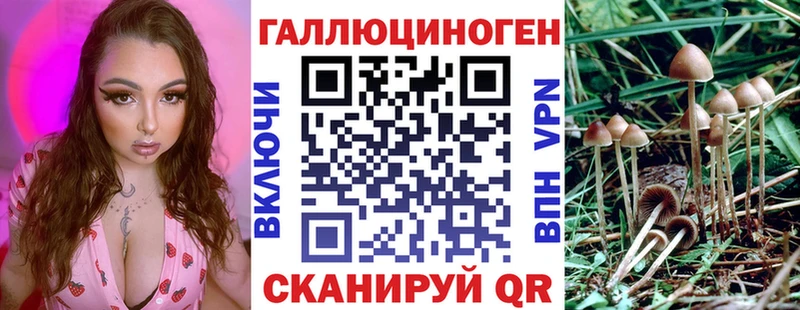 Псилоцибиновые грибы MAGIC MUSHROOMS  цены наркотик  Кондрово 